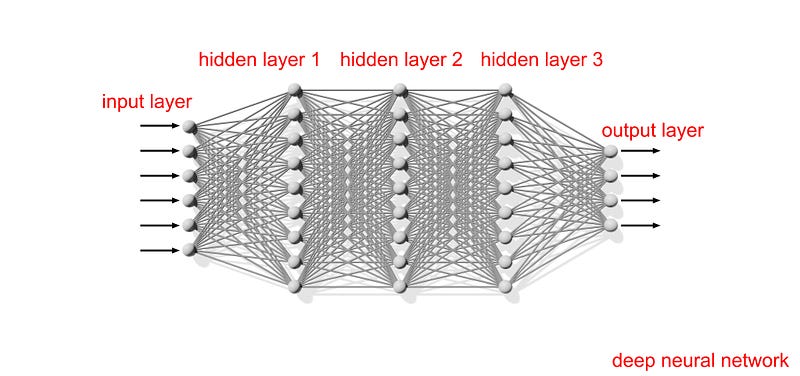 Saliency map highlighting AI focus areas.