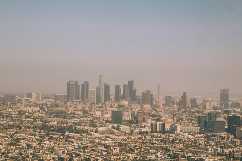 A desolate cityscape overtaken by nature