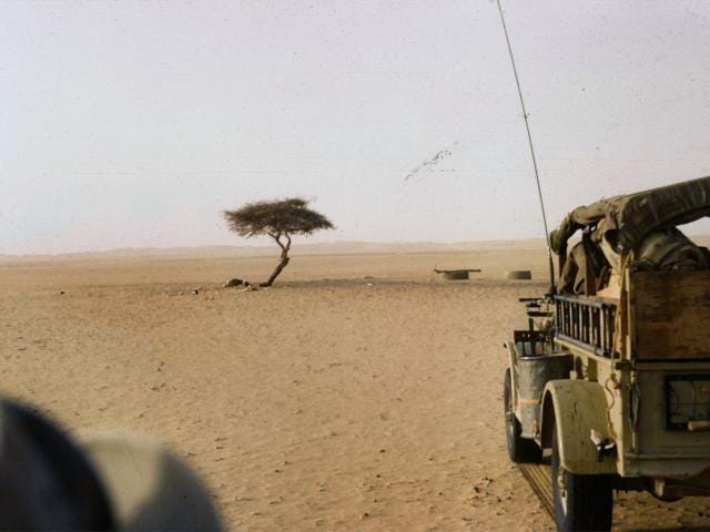 The solitary Tree of Ténéré in Niger