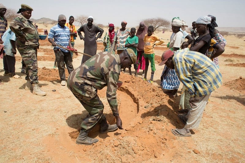 Revitalized landscapes in Niger