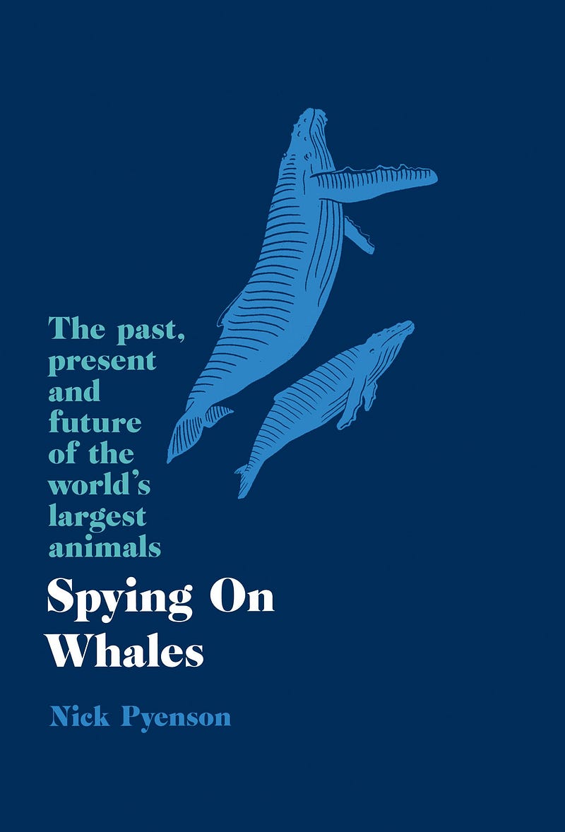 Cover of "Spying on Whales"