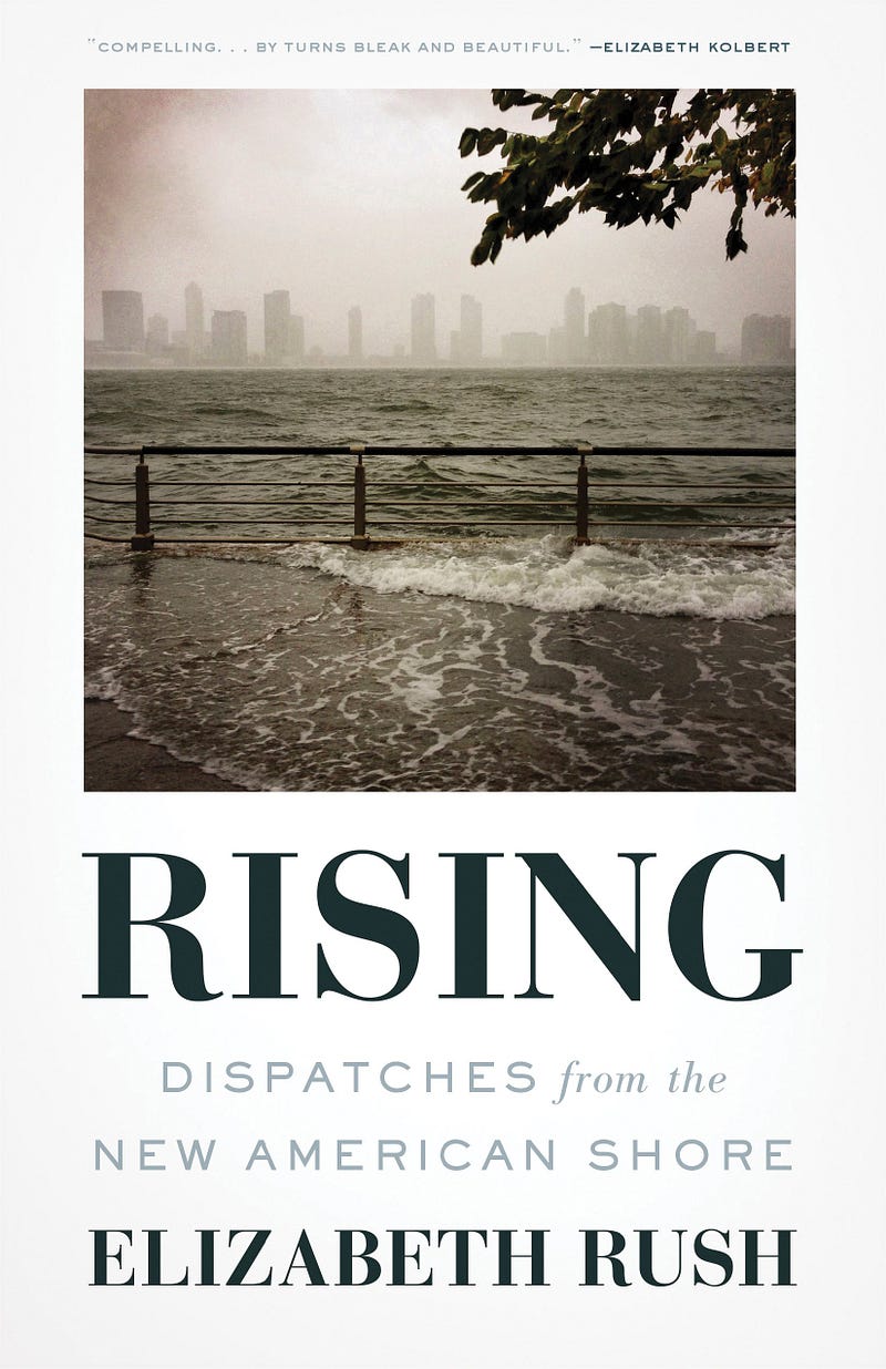 Cover of "Rising: Dispatches from the New American Shore"