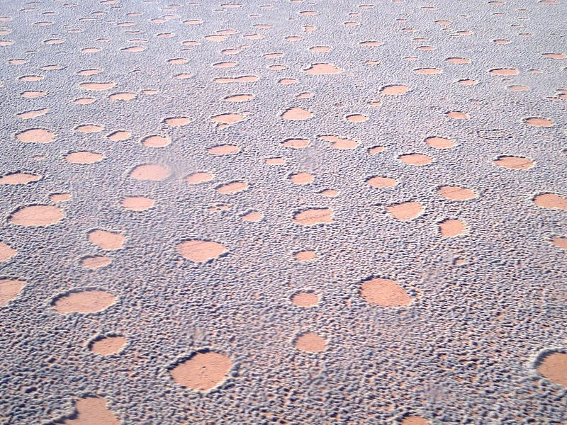 Unique barren patches in the Namib Desert