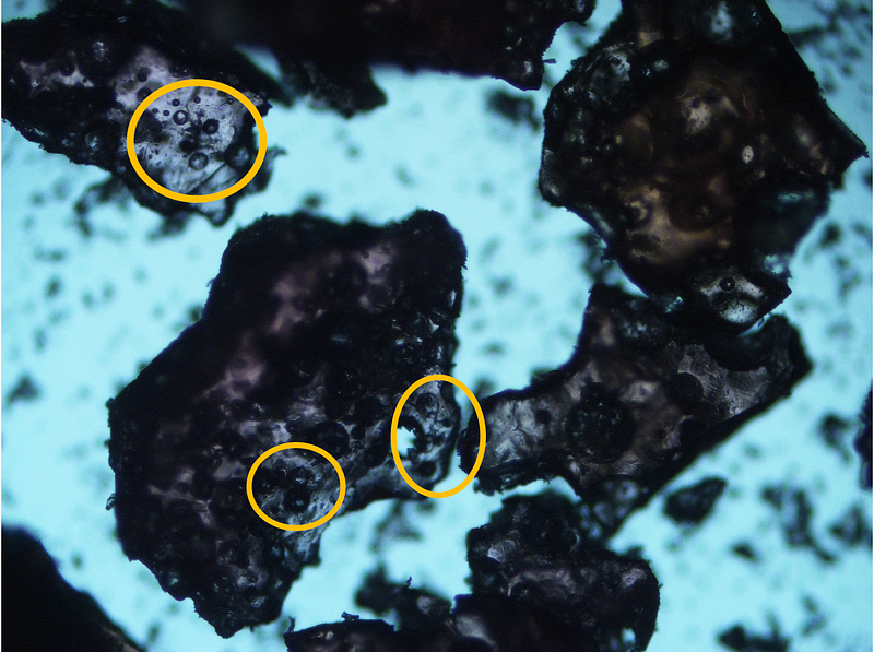 Carbon dioxide bubbles trapped in sugar glass