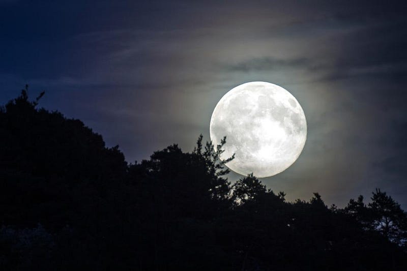 Bright Moon in the Night Sky