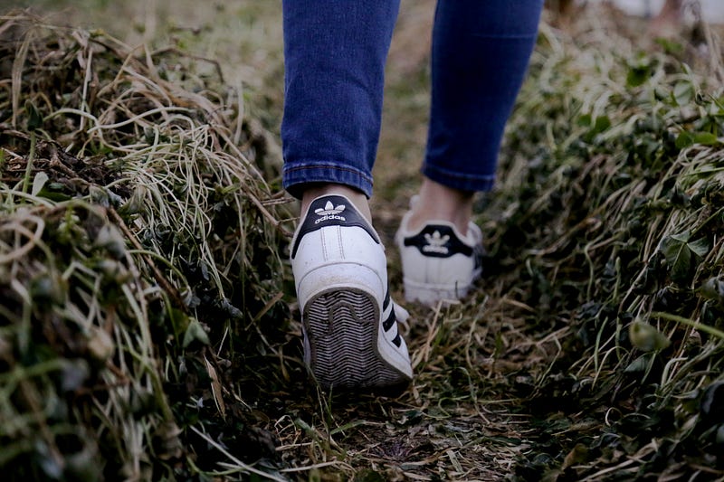 Daily walks boost both physical and mental wellness.