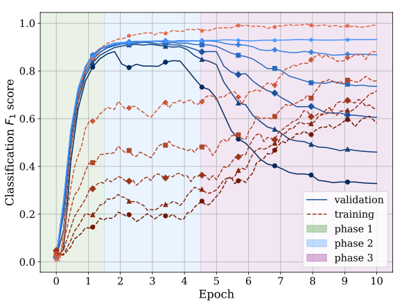 BERT’s Learning Phases During Fine-tuning