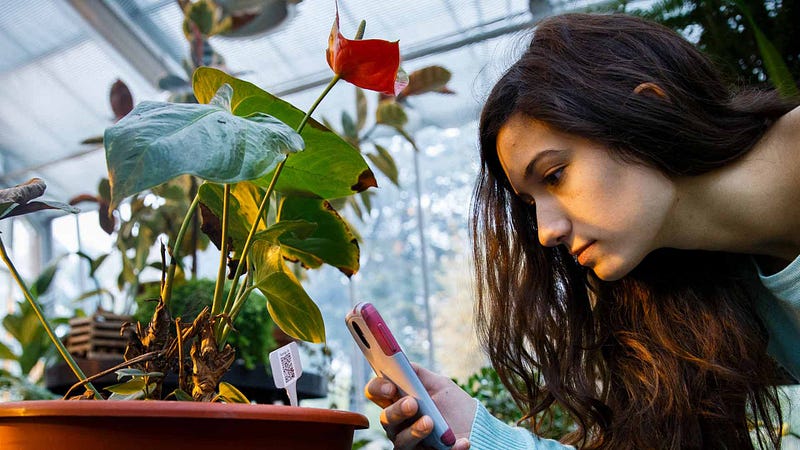 Engaging study environment for biology students