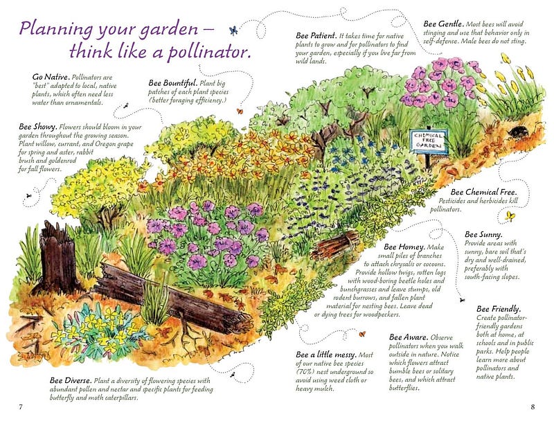 Pollinator garden design