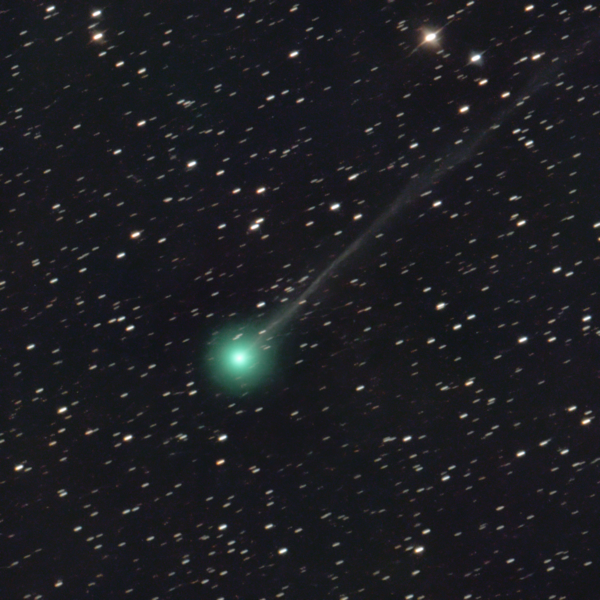 Close-up view of Comet Nishimura's tail