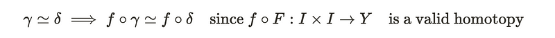 Verification of homotopy class consistency