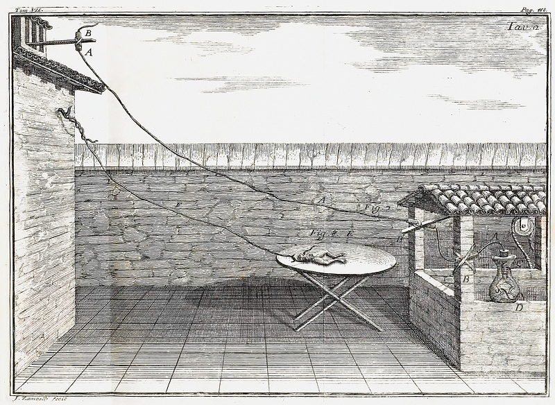 Diagram illustrating Galvani's frog leg experiment