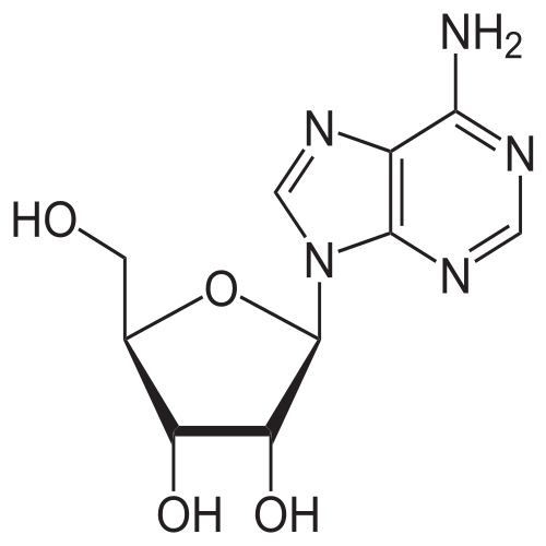 Chemical structure comparison of adenosine and caffeine