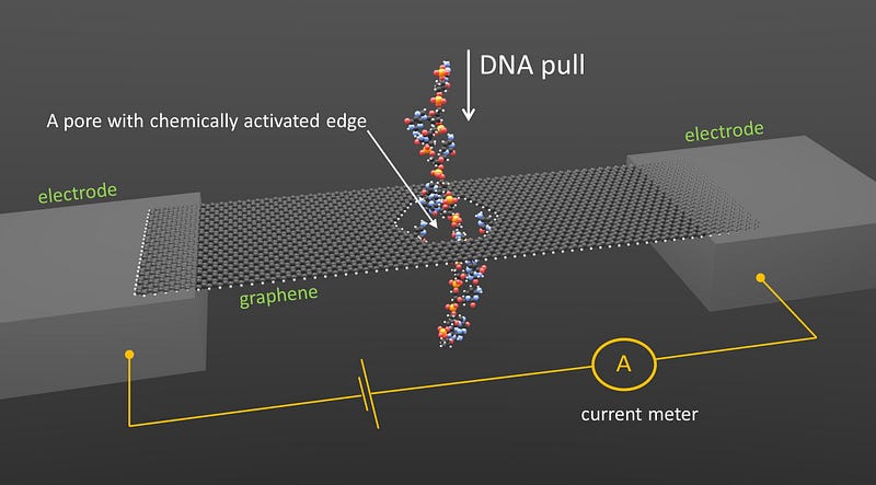 Schematic of DNA sequencing through graphene nanopores.