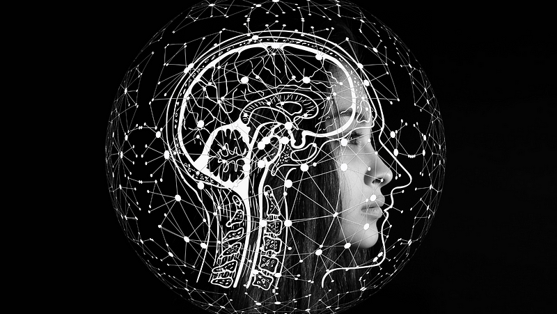 Diagram illustrating brain development across life stages