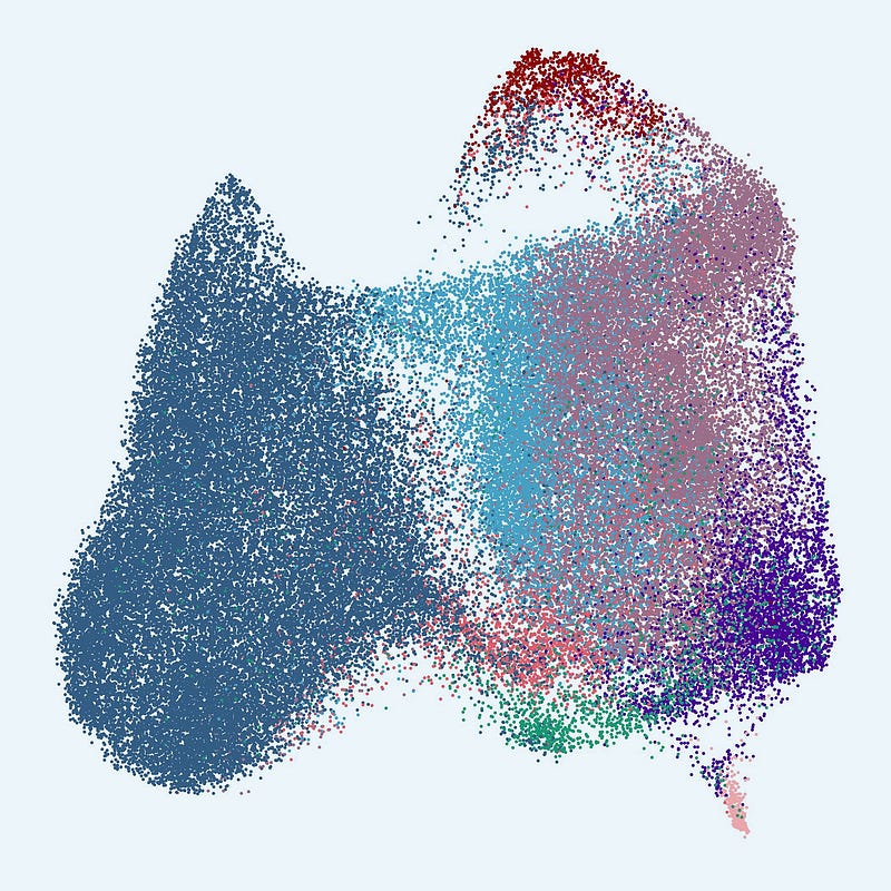 UMAP analysis of human B cell subsets