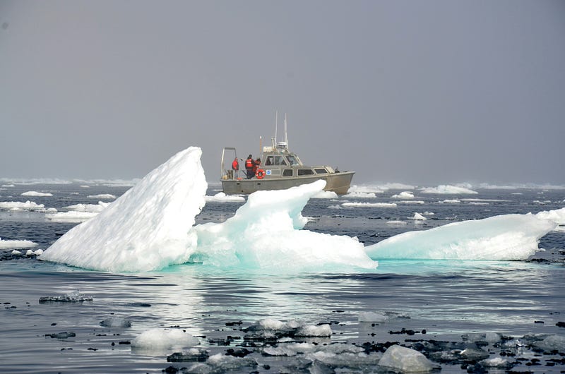 Climate Awareness Initiatives