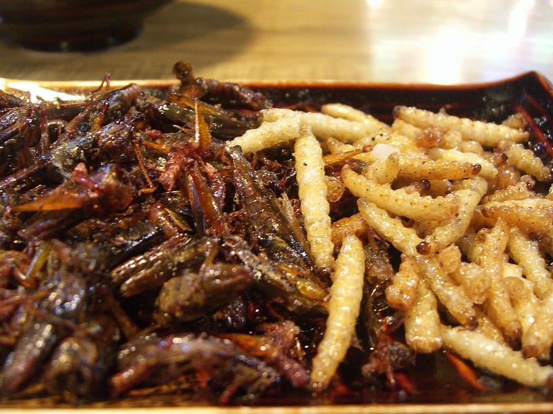 Deep-fried insects as a delicacy